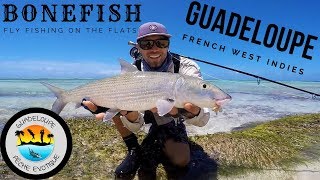 Fishing BONEFISH from GUADELOUPE  French West Indies [upl. by Grim]