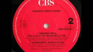 Wishing well 12  TERENCE TRENT DARBY  DJ OUIPET  1987 [upl. by Letti]