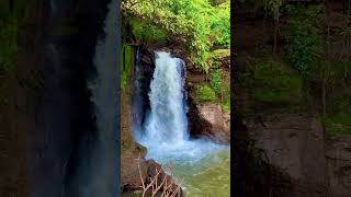 Trying to find the flow of life music goa travel nature goatourism harvalem waterfall [upl. by Arrol]