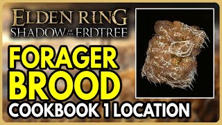 Forager Brood Cookbook 1 Location  Elden Ring Shadow of the Erdtree DLC [upl. by Ycnaffit115]