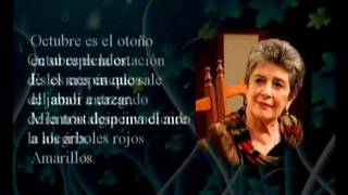 Poema de la semana de Claribel Alegría [upl. by Yanad]