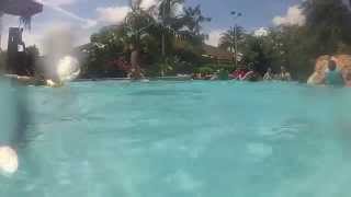 Roas Rapids lazy river swim through at Aquatica in Orlando Florida [upl. by Leavy]