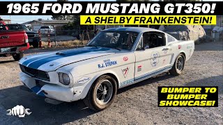 1965 FORD MUSTANG GT350 A Shelby Frankenstein Bumper To Bumper Showcase [upl. by Olyhs]