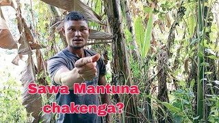 Sawa Mantuna chake aganenga Garo short video [upl. by Ellebasi]