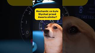 Mechanik Co było słychać przed awaria silnika😂memes mechanic car [upl. by Maida853]