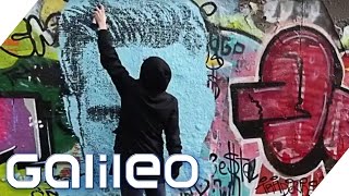 Mit dieser Spraydose wird jeder zum GraffitiKünstler  Galileo  ProSieben [upl. by Creedon]