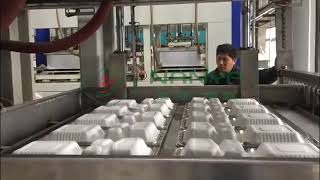 Bagasse pulp biodegradable pulp food packaging production process [upl. by Saunderson]