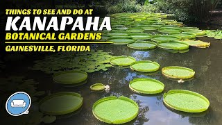 Things to See and Do at Kanapaha Botanical Gardens in Gainesville Florida [upl. by Gnen]