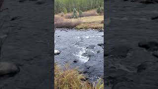 Langhor Creekside Trail Hyalite Reservoir Bozeman Montana nature blessedeveryday bozeman [upl. by Gerik318]