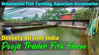 Secrets of Pooja Trader Fish Farm Revealed I Ornamental Fish Farming [upl. by Reffinej]