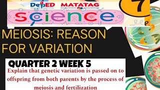 GRADE 7 QUARTER 2 WEEK 5 CELLULAR REPRODUCTION  MEIOSIS AND FERTILIZATION [upl. by Ahsiuq371]