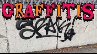 New graffitis on the walls of a Sammamish River trail [upl. by Elaynad]