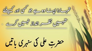 Hazarte Ali Ki sunahri baten Best urdu quotes by hazarte AliZeeshan Fidai [upl. by Kevon996]