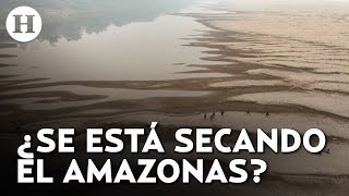 Sequía impacta al río Amazonas en Brasil ¿qué está pasando [upl. by Nedak]