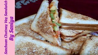 Szechuan Chutney sandwichrecipe  Bread Veg Sandwich Recipe  By Saniya [upl. by Itnahsa]