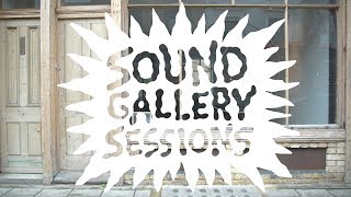 Sound Gallery Sessions  Episode 6 David Allred Natures Course [upl. by Ahsekal]