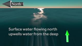 Upwelling and the Coriolis effect [upl. by Bissell406]