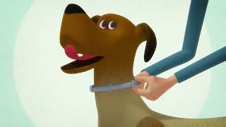 How to Apply the Seresto Collar for Dogs [upl. by Omrellug]