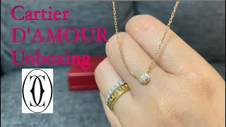 Cartier  DAMOUR Necklace  Jewelry Unboxing myfavoritethings1567 [upl. by Oralie771]