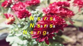 Nisarisa jeans theme with lyrics [upl. by Monaco]