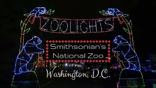 Christmas Zoo Lights  Washington DC National Zoo [upl. by Culver]