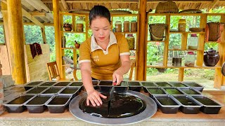 Full VIDEO 250 days of making Black Jelly Sticky Rice Cake Harvesting Tangerines Market To Sell [upl. by Zsamot]