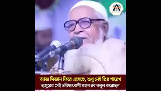 আজ মিজান ফিরে এসেছে শুধু নেই প্রিয় শায়েখ [upl. by Sylram]