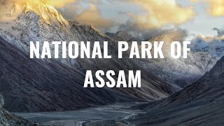 NATIONAL PARK OF ASSAM [upl. by Eidaj]