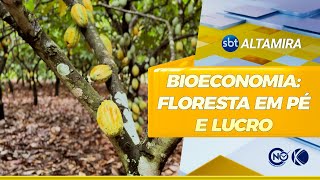 Como a Bioeconomia agrega renda  SBT Altamira [upl. by Larsen457]