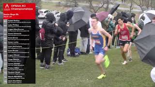 Junior Boys 5k XC  Ontario OFSAA Cross Country Provincial Championships 2024 Full Replay [upl. by Marie]