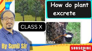 Five Ways By Which Plants Excrete Out Metabolic Wastescbse cbseclass10biology cbsebiology exam [upl. by Annuaerb]