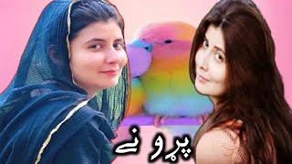 Ptv Pashto Drama Parone Episode 16  Part 2 [upl. by Liryc]