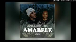 Kabza De Small amp Mthunzi  Amazwe feat MaWhoo Official Music Video [upl. by Ydnim371]