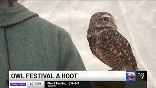 Owl festival a hoot [upl. by Idyh]