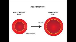 ACE inhibitors mechanism of action in hindi  Pharmacology  Nursing amp Pharmacy  Bhushan Science [upl. by Ihsorih]