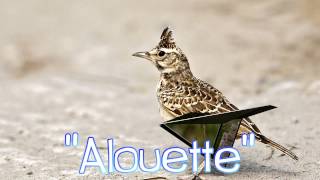 Alouette  Michael Aaron  Page 48 [upl. by Bixby]