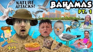 BIRDS Fly Over Us  ATLANTIS Resort Hotel Beach FUNnel Family Bahamas Trip Part 1 [upl. by Kaasi]