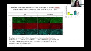 AD Toxoplasma Gondii Project UROP Video [upl. by Wetzell783]