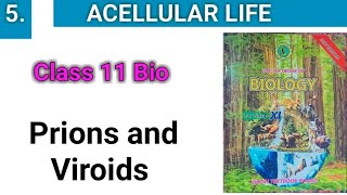 Prions and Viroids  Acellular Life chapter 5 Class 11 [upl. by Haroved]