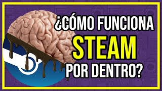 ¿Cómo funciona STEAM por dentro [upl. by Orgel]