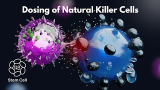 Dosing of Natural Killer Cell Therapy 1844 4NKCELL [upl. by Etteragram327]