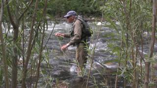 Fly Fishing the Gallatin River in Bozeman Montana [upl. by Eenerb]