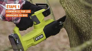 Comment élaguer les arbres  Home Depot Canada [upl. by Nomad]