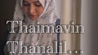 Thaimavin Thanalil  Cover Song  Ilayaraja  ks Chithra  MG Sreekumar  Gireesh puthenchery [upl. by Paryavi]