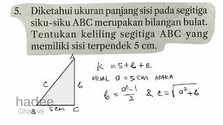 diketahui ukuran panjang sisi pada segitiga siku siku abc merupakan bilangan bulattentukan keliling [upl. by Einahets]