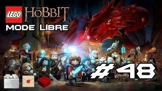 Lego Le Hobbit Mode Libre 48 100 Niveau 14 [upl. by Ashlin]