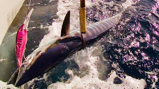 2019 eXceL sport fishing adventure part2wahoo [upl. by Ayna]