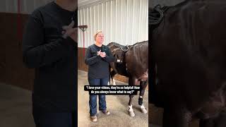 Equine Bodyworker Blooper Reel [upl. by Neeroc]