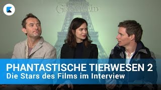 PHANTASTISCHE TIERWESEN 2  Die Stars des Films im Interview [upl. by Xilef]