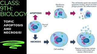 class 9th biology [upl. by Missi211]